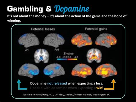 What is Dopamine and How Does it Effect Gambling.